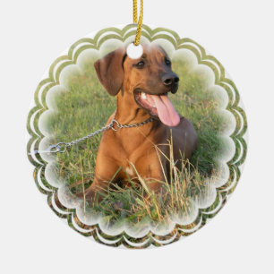 Rhodesian Ridgeback hundprydnad Julgransprydnad Keramik