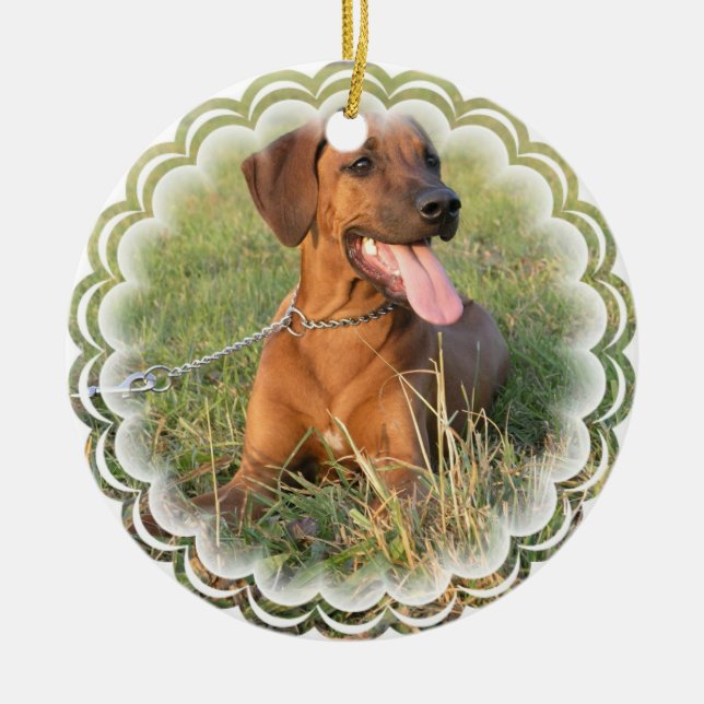 Rhodesian Ridgeback hundprydnad Julgransprydnad Keramik (Framsidan)