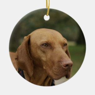 Rhodesian Ridgeback hundprydnad Julgransprydnad Keramik