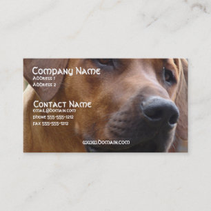 Rhodesian Ridgeback hundvisitkort Visitkort