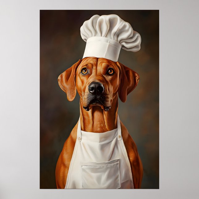 Rhodesian Ridgeback i kockhatt affisch, Husdjur Poster (Framsidan)