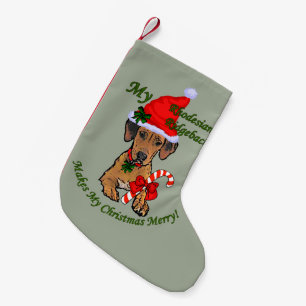Rhodesian Ridgeback jul Liten Julstrumpa