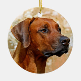 Rhodesian Ridgeback Julgransprydnad Keramik