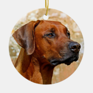 Rhodesian Ridgeback Julgransprydnad Keramik
