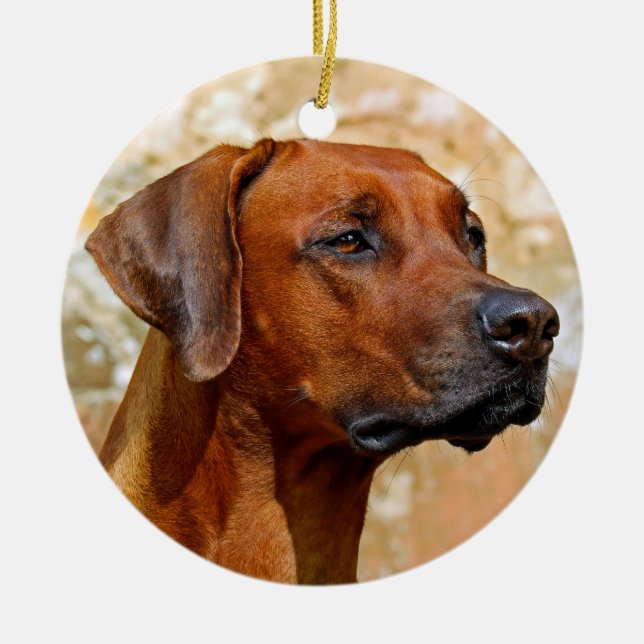 Rhodesian Ridgeback Julgransprydnad Keramik (Framsidan)