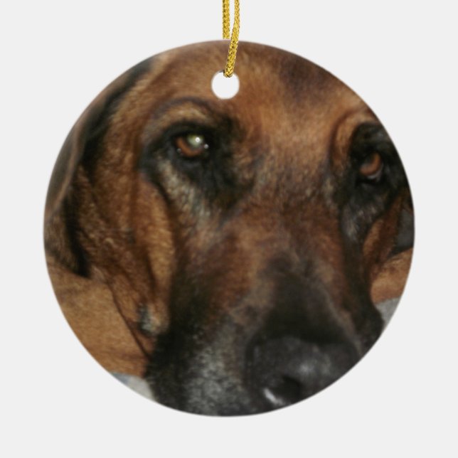 Rhodesian Ridgeback Julgransprydnad Keramik (Framsidan)