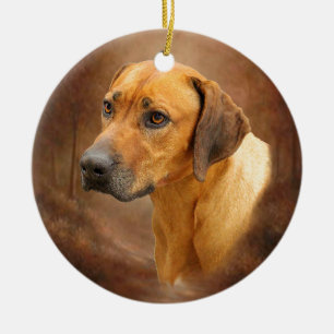 Rhodesian Ridgeback Julgransprydnad Keramik