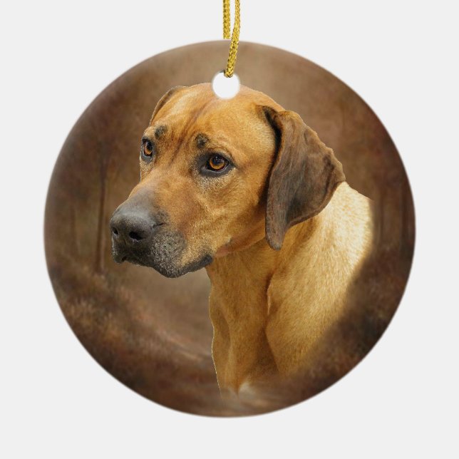Rhodesian Ridgeback Julgransprydnad Keramik (Framsidan)