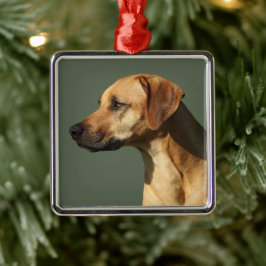 Rhodesian Ridgeback Julgransprydnad Metall