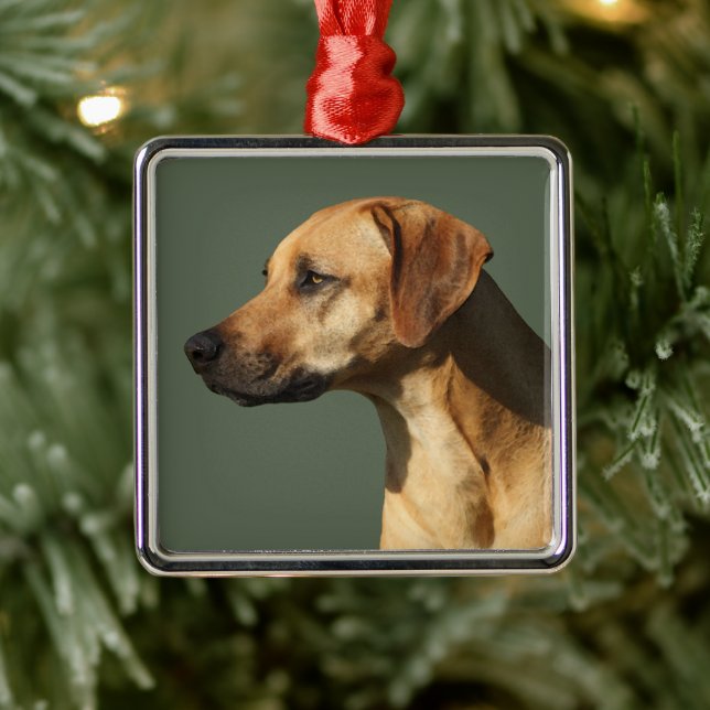 Rhodesian Ridgeback Julgransprydnad Metall (Träd)