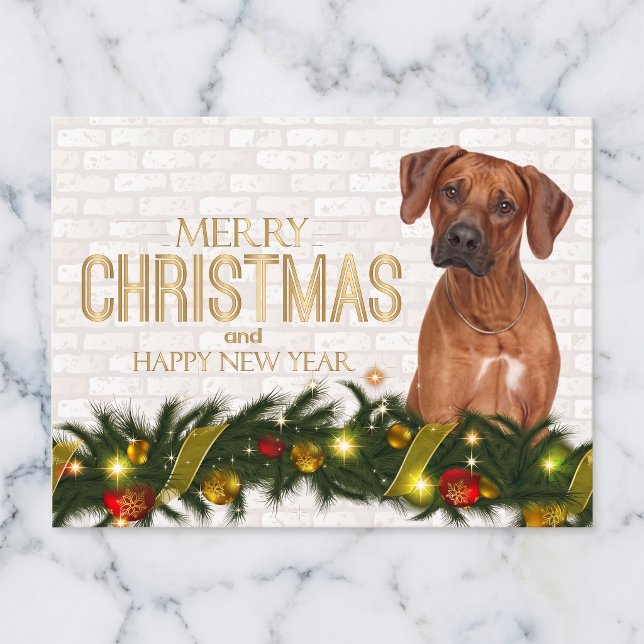 Rhodesian Ridgeback Julkort Helg Vykort (Rhodesian Ridgebacks make the holidays bright.)