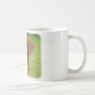 Rhodesian Ridgeback Kaffemugg