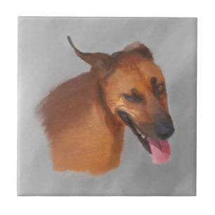 Rhodesian Ridgeback Kakelplatta