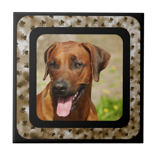 RHODESIAN RIDGEBACK KAKELPLATTA (Framsidan)