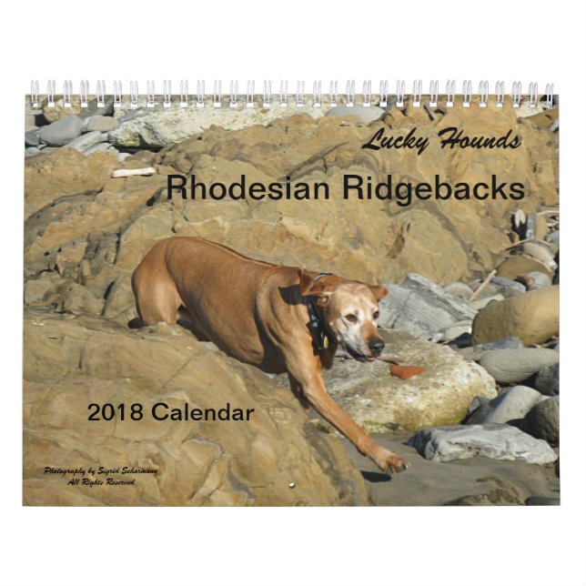 Rhodesian Ridgeback kalender 2018 (Omslag)