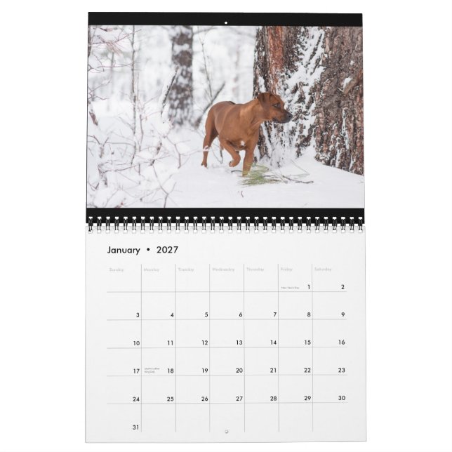 Rhodesian Ridgeback kalender 2018 (Jan 2027)