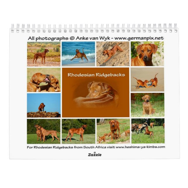 Rhodesian Ridgeback-kalender Kalender (Baksida)
