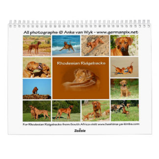 Rhodesian Ridgeback-kalender Kalender