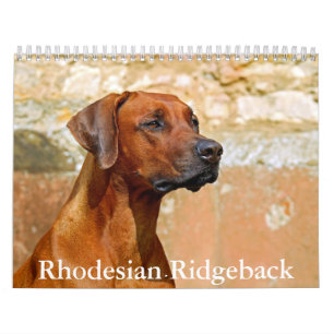 Rhodesian Ridgeback-kalender Kalender