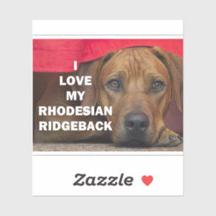 Rhodesian-ridgeback kärlek w pic klistermärken