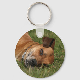 Rhodesian Ridgeback Keychain Nyckelring