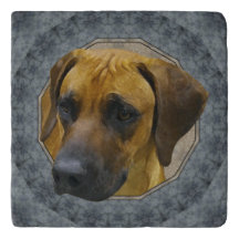 Rhodesian Ridgeback klassisk sten Trivet