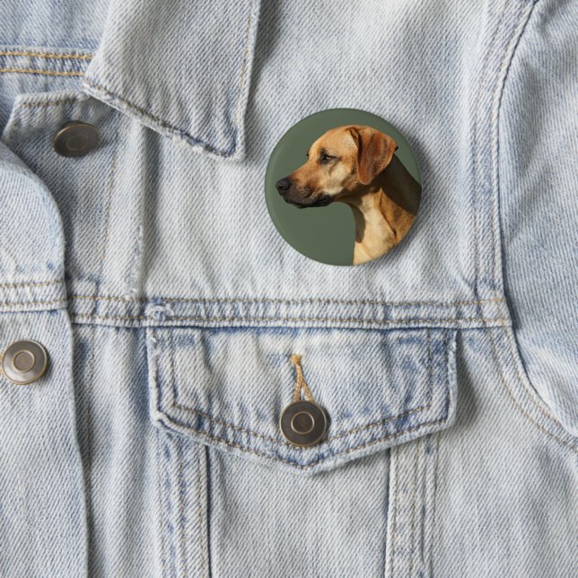 Rhodesian Ridgeback Knapp (In Situ)
