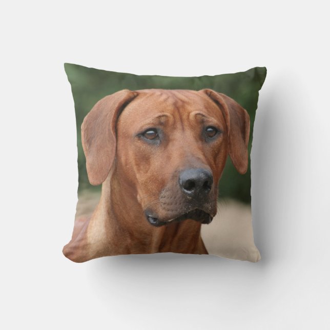Rhodesian Ridgeback kussen Kudde (Framsida)