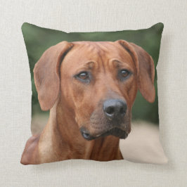 Rhodesian Ridgeback kussen Kudde