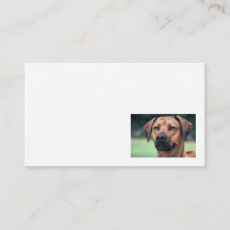 Rhodesian Ridgeback linnevisitkort Visitkort