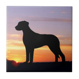 Rhodesian Ridgeback Luminescent Silhouette Kakelplatta