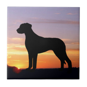 Rhodesian Ridgeback Luminescent Silhouette Kakelplatta
