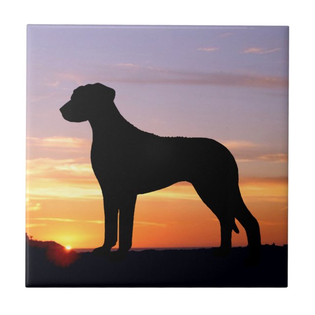 Rhodesian Ridgeback Luminescent Silhouette Kakelplatta (Framsidan)