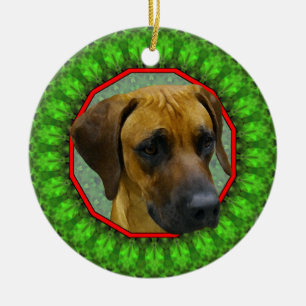 Rhodesian Ridgeback lycklig Howliday Julgransprydnad Keramik