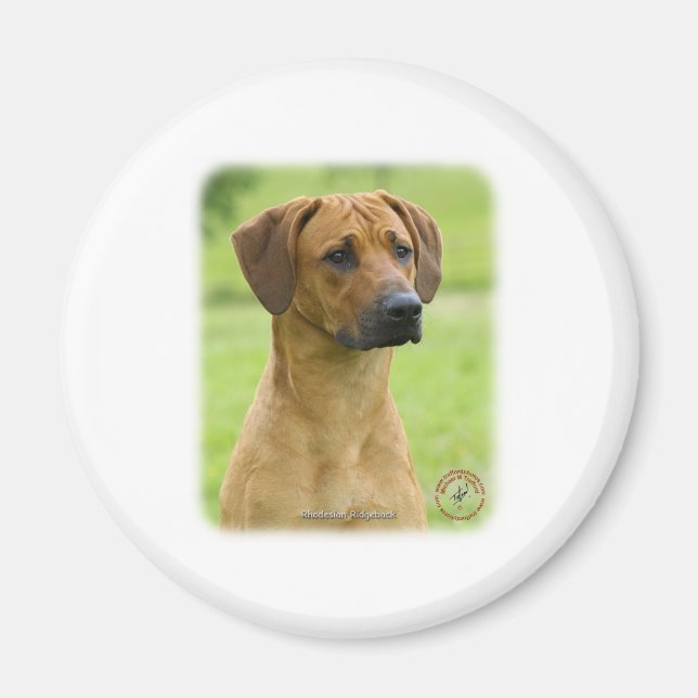 Rhodesian Ridgeback Magnet (Framsidan)