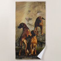 Rhodesian Ridgeback med Lejon