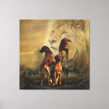 Rhodesian Ridgeback med Lejon