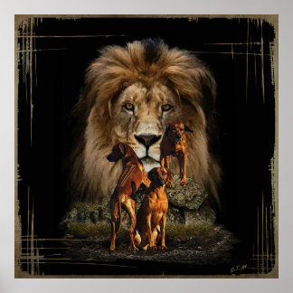 Rhodesian Ridgeback med Lejon Poster