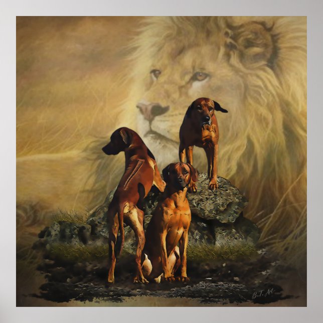 Rhodesian Ridgeback med Lejon Poster (Framsidan)