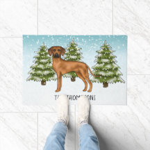 Rhodesian Ridgeback med namnet Snöig Vinter Skog