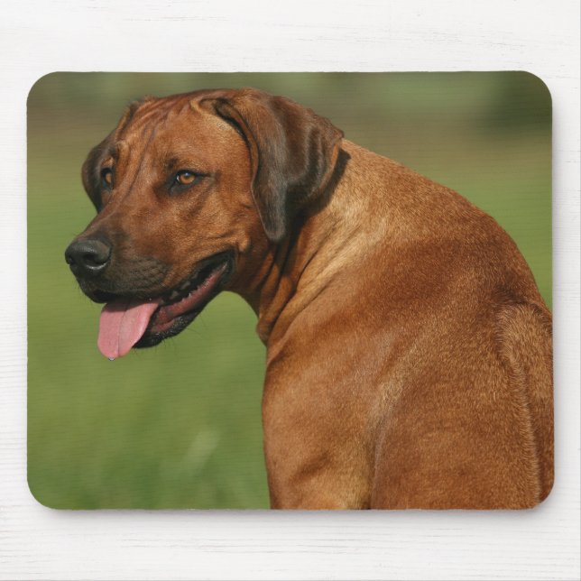 Rhodesian Ridgeback Mousepad Musmatta (Framsidan)