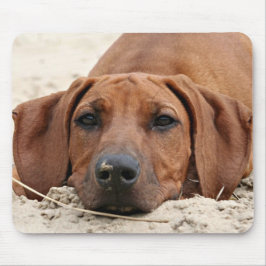 Rhodesian Ridgeback Muismat Musmatta