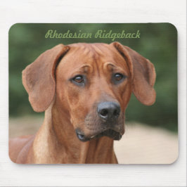 Rhodesian Ridgeback Muismat Musmatta