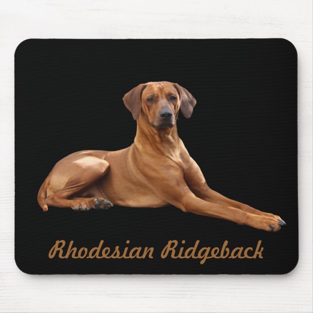 Rhodesian Ridgeback Muismat Musmatta (Framsidan)