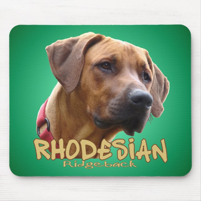 Rhodesian Ridgeback Musmatta (Framsidan)