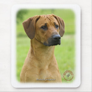 Rhodesian Ridgeback Musmatta