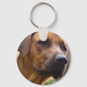 Rhodesian Ridgeback-nyckelkedja Nyckelring