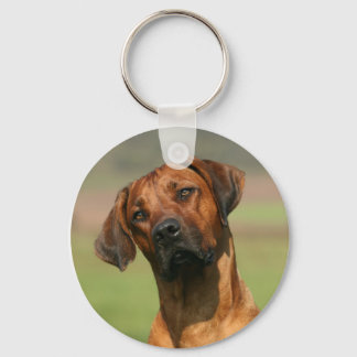 Rhodesian Ridgeback-nyckelkedja Nyckelring