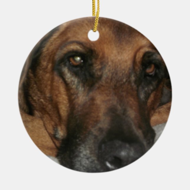 Rhodesian Ridgeback Ornament (Framsidan)