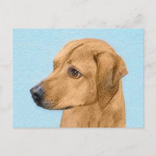 Rhodesian Ridgeback Painting - Original Hund Art Vykort